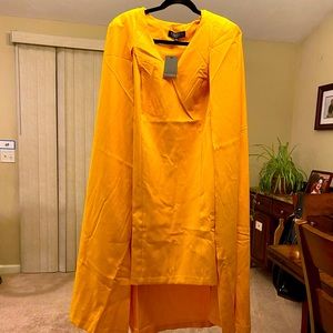 NWT Shouldered Cape Dress